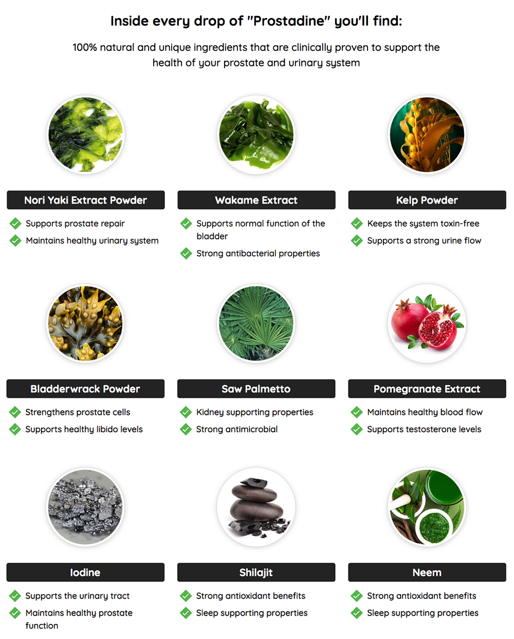 Prostadine - Order Now